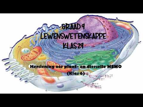 LEWENSWETENSKAP GRAAD 9: 20 Augustus 2020 - periode 7 (20097)