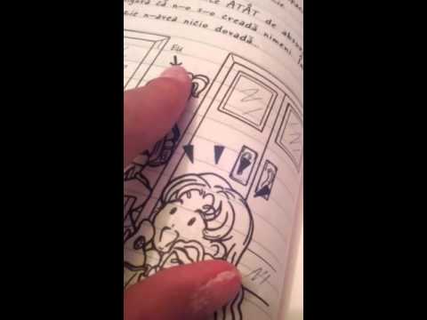 Insemnarile unei puștoaice