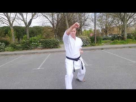 Karaté do Shito Ryu : Kata Pinan Nidan