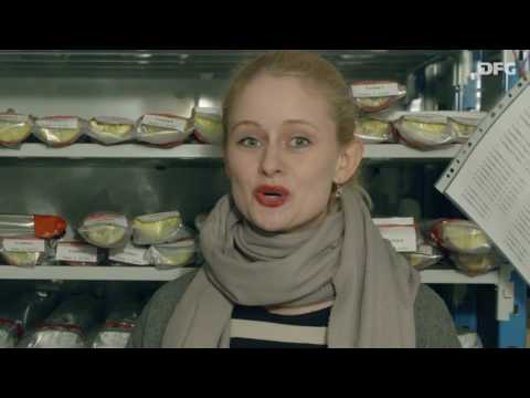 Klimataucher - Eiszeit: Was Bohrkerne über die Vergangenheit erzählen