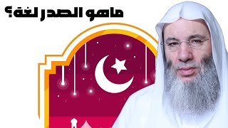 ما هو الصدر لغة ؟ ح 4 | أسباب إنشراح وضيق الصدر | برنامج قلوب مع حبيب القلوب الشيخ الدكتور محمد حسان