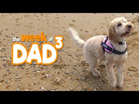 The Week of Dad³ - Fully Vaccinated - 5th April 2021