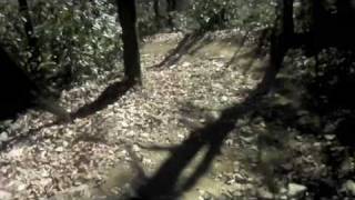 preview picture of video 'Pinnacle Creek 09'
