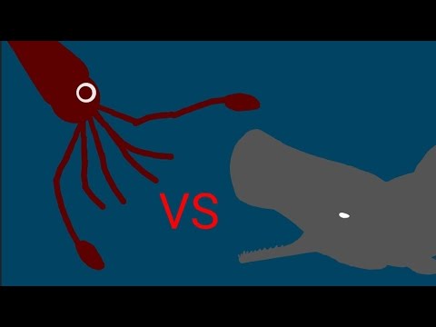 Sperm whale VS Colossal squid [AT2 Battle Arena]