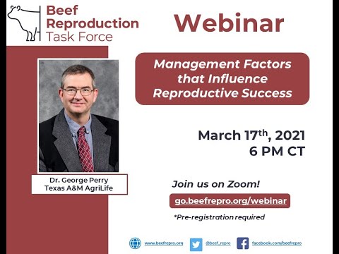 BRTF Monthly Webinar - Dr. George Perry- 03/17/2021