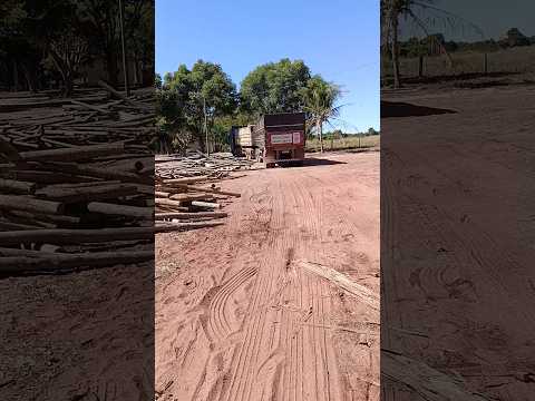 Carga de estacas eucalipto tratado entregue em Tupirama Tocantins!