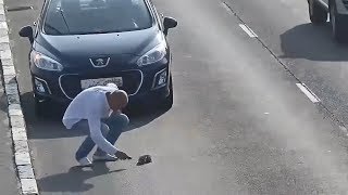 ЖИВОТНЫЕ, КОТОРЫМ РЕАЛЬНО ПОВЕЗЛО