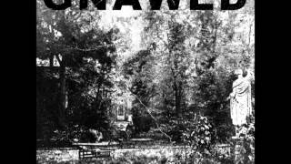 Gnawed - Pestilence Beholden