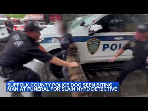 Police dog seen biting man at funeral for slain NYPD detective
