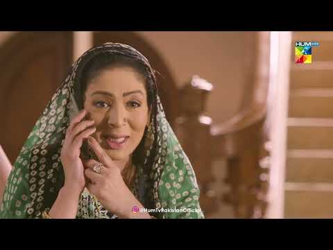 Alishba Zinda Hai...Ghalat Fehmi Hogai Thi - Roag - HUM TV Drama