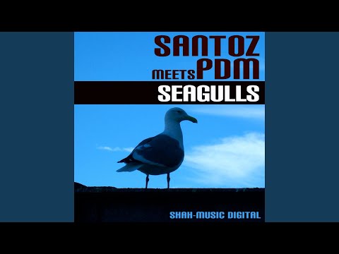 Seagulls (PDM's Intro Rework)