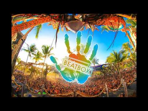 All In One ft Codfish - Beatbox