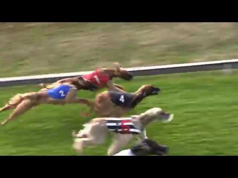 WM Awans Afghan Male FINALE