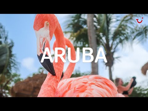 Aruba z TUI Poland | Szczęśliwa wyspa na Karaibach
