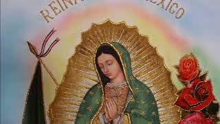 MAÑANITAS GUADALUPANAS