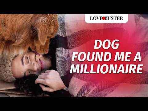 Dog Found Me A Millionaire | @LoveBusterShow