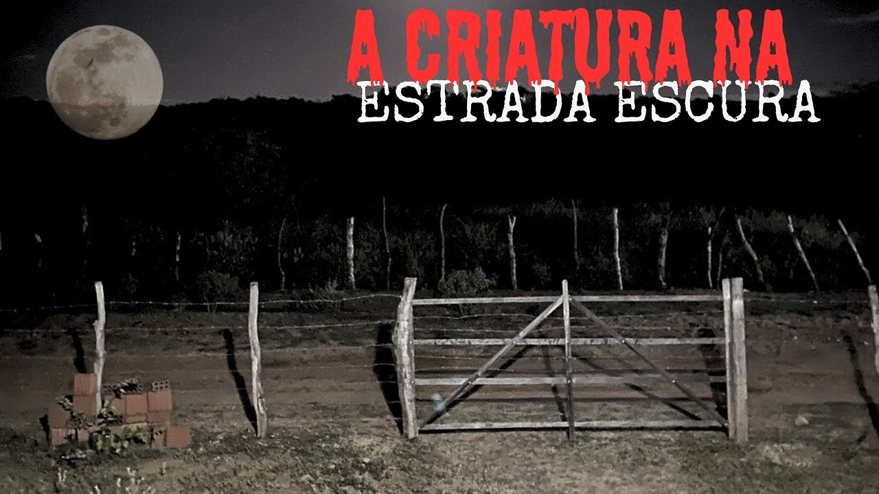 A CRIATURA NA ESTRADA DE NAZARÉ DA MATA. + UM RELATO.