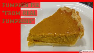 HOW TO: PUMPKIN PIE FROM REAL PUMPKIN! EASY & DELICIOUS!