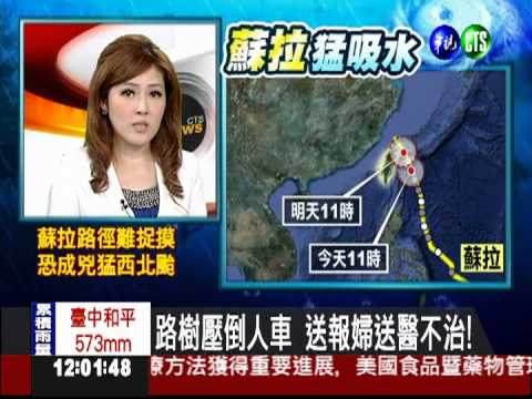 路樹壓倒人車 送報婦送醫不治!