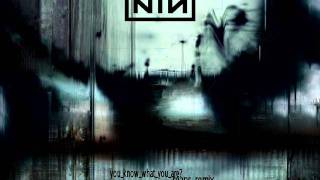 Nine Inch Nails - You Know What You Are? - Reaps Remix