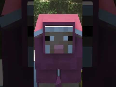 Maybe we deserve a Minecraft ANIMATION UPDATE? | Fresh Animations Resource Pack