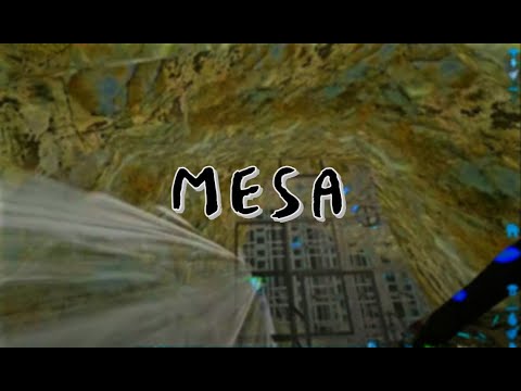 MESA Ark | First Days Of 4Man Wipe