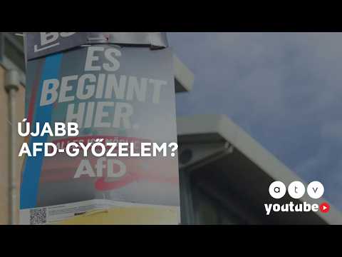 Europeo – Miért szavaz egyre több német az AfD-re?