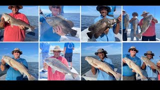 Download Lagu SO MANY Redfish, Tripletail, Trout and Black Drum! Thumbnail