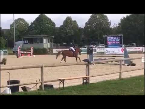 COOPA 5j. St v. Idem d'Azur - Elan de la Cour -for sale-