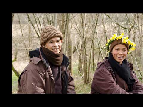 RỪNG SA LA THU - Thiền ca Làng Mai - sáng tác & thể hiện: thầy PHÁP THIÊN