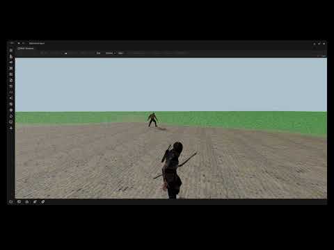 Animation & Combat