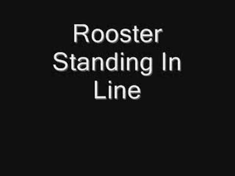 Standing In Line - Rooster