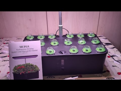 MUFGA 18 Pod Hydroponic Indoor Growing System Set Up!