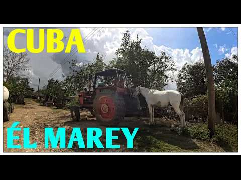 Él Marey : PUEBLO OLVIDADO entre Santa Cruz y Madruga 🇨🇺