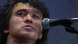 Music video thumbnail preview for КИНО ВИКТОР ЦОЙ - Сосны на морском берегу 2013 (Олимпийский 1990) Subtitles by Кино