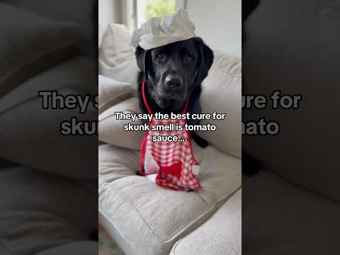 Things got SPICY at King C’s Sunday dinner