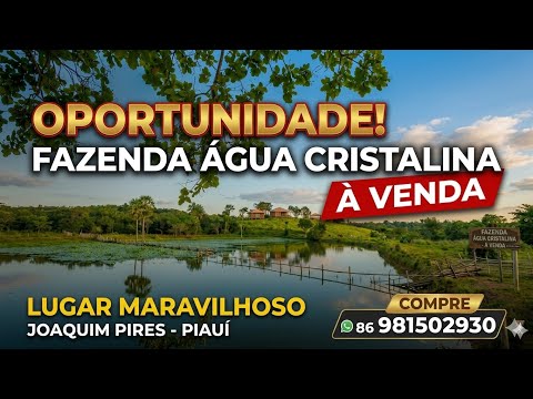 VENDE ESTA ESTA MARAVILHOSA PROPRIEDADE DE 35 HECTARES EM JOAQUIM PIRES PIAUÍ 