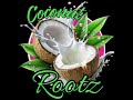 MY EVERYTHING BY COCONUT ROOTZ