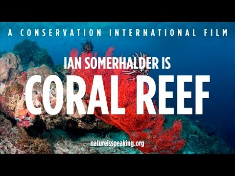 Nature Is Speaking: Ian Somerhalder is Coral Reef - 大自然在說話: 伊恩森瑪荷達聲演「珊瑚礁」| 保護國際基金會 (CI)