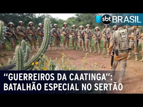 Batalhão do Exército é especializado em defender a Caatinga | SBT Brasil (29/04/23)