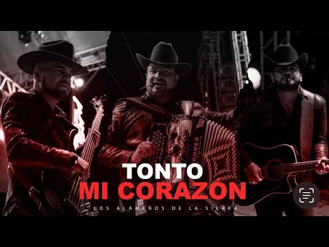 ALAMEÑOS DE LA SIERRA - TONTO MI CORAZON 2023