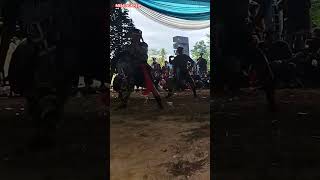 Download lagu DI EGOL NGANTI SESER| Jaranan CITRA MANUNGGAL Natar-Lamsel mp3