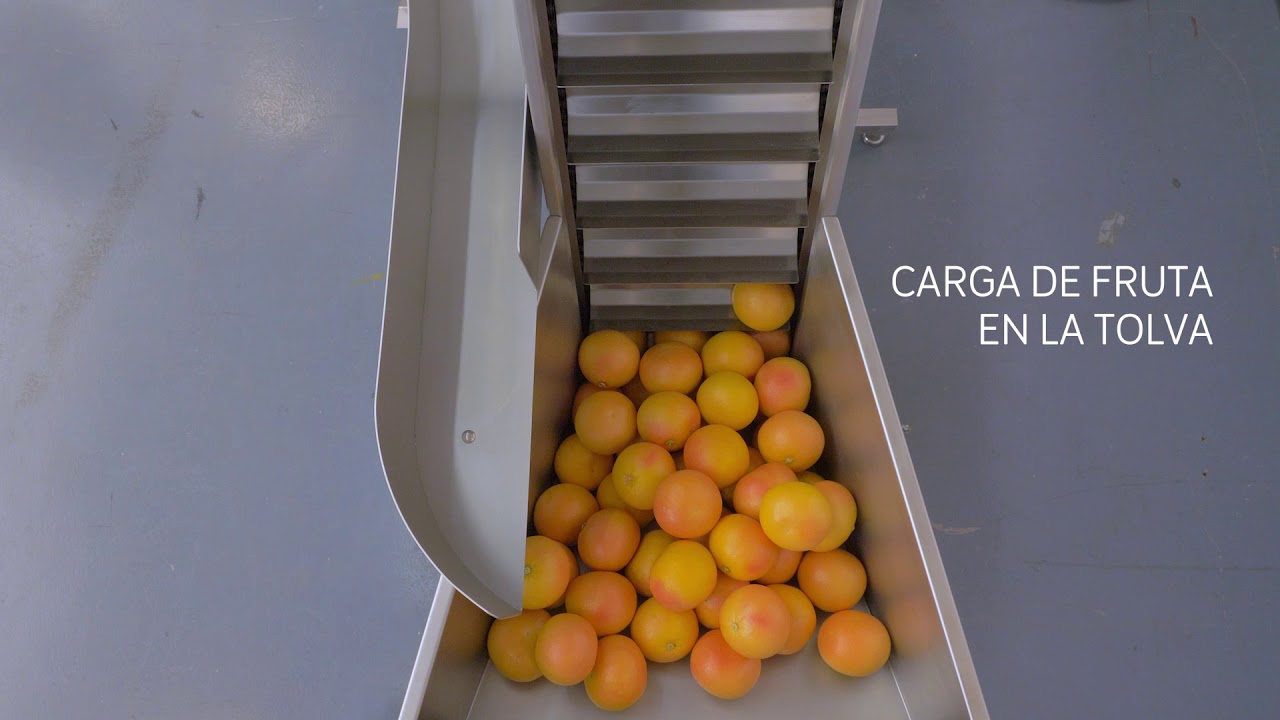 Cómo trabajar con el exprimidor de cítricos industrial Citrus Z450
