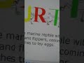 WORDS IN THE WORLD 3 TURTLE SEASON 1