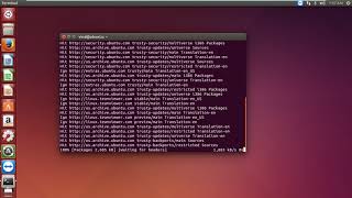 How to install any software in ubuntu through terminal