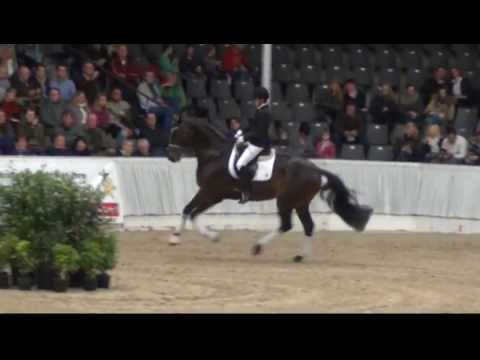 Lemonys Nicket von Londonderry / Weltmeyer