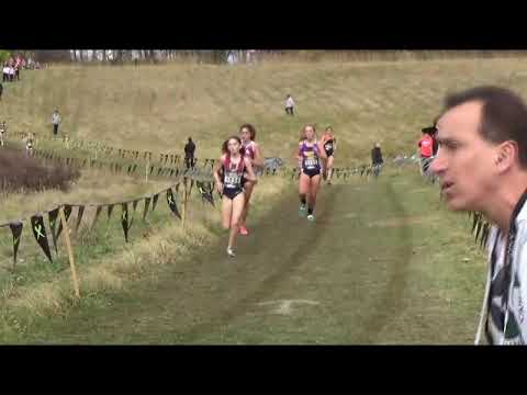 Ny Milesplit Com