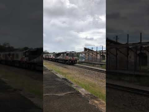 TRAINS AM22 SCT 1PM9 SCT012 CSR012 CSR004 Nairne 24/11/21