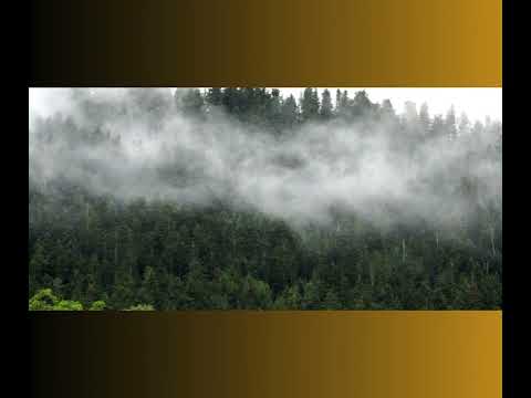 Suzan & Freek - Op deze dag