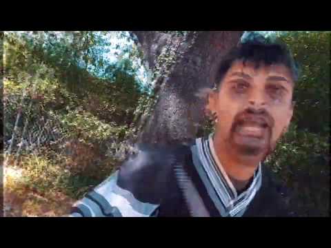 SINFOBIA X MUTE - BROTES